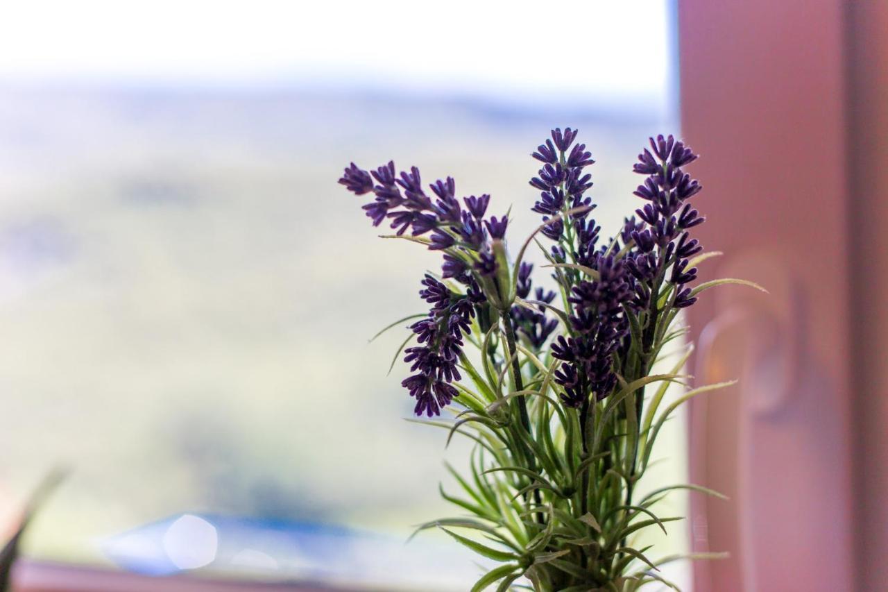 Apartman Aqua-Juric Crikvenica Bagian luar foto